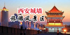 性感3D骚货被操视频中国陕西-西安城墙旅游风景区